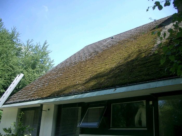 Zustandskontrolle am Steildach